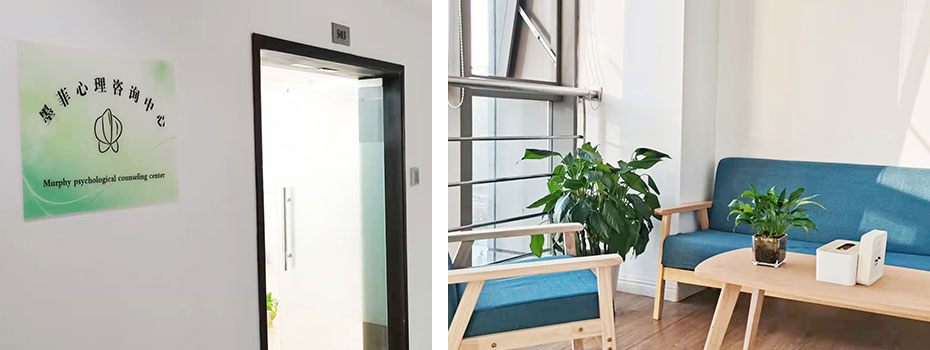 心理咨询 心理咨询